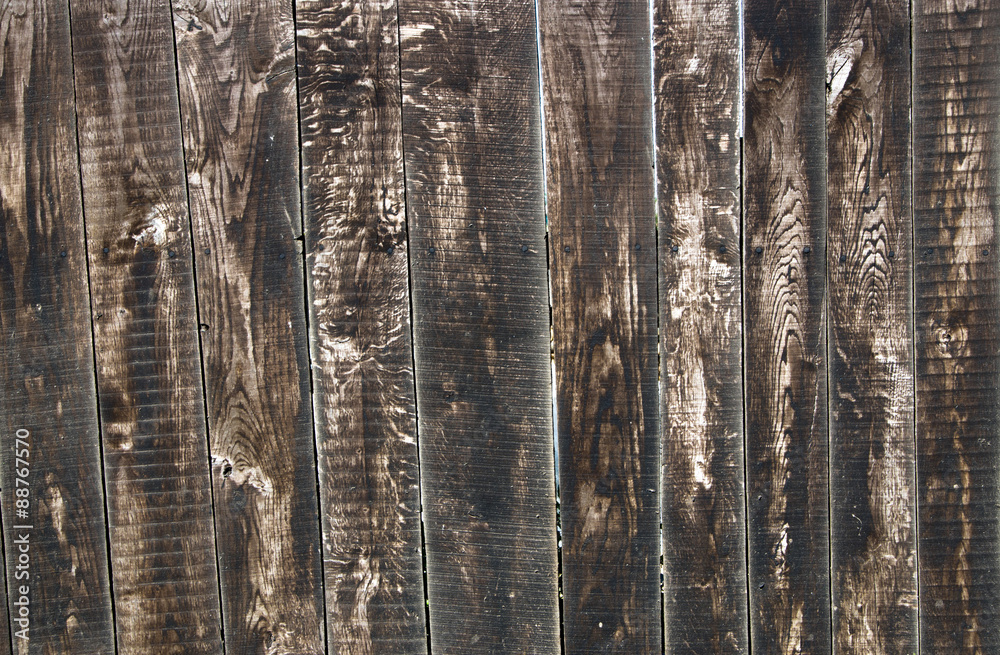 Obraz premium wood background