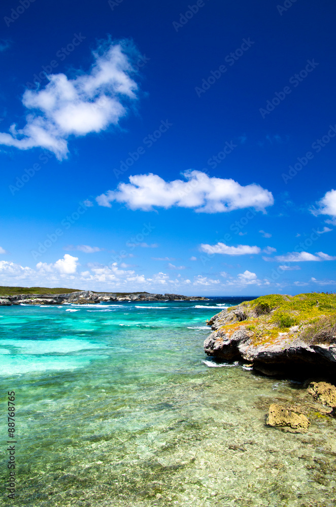 Fototapeta premium ocean