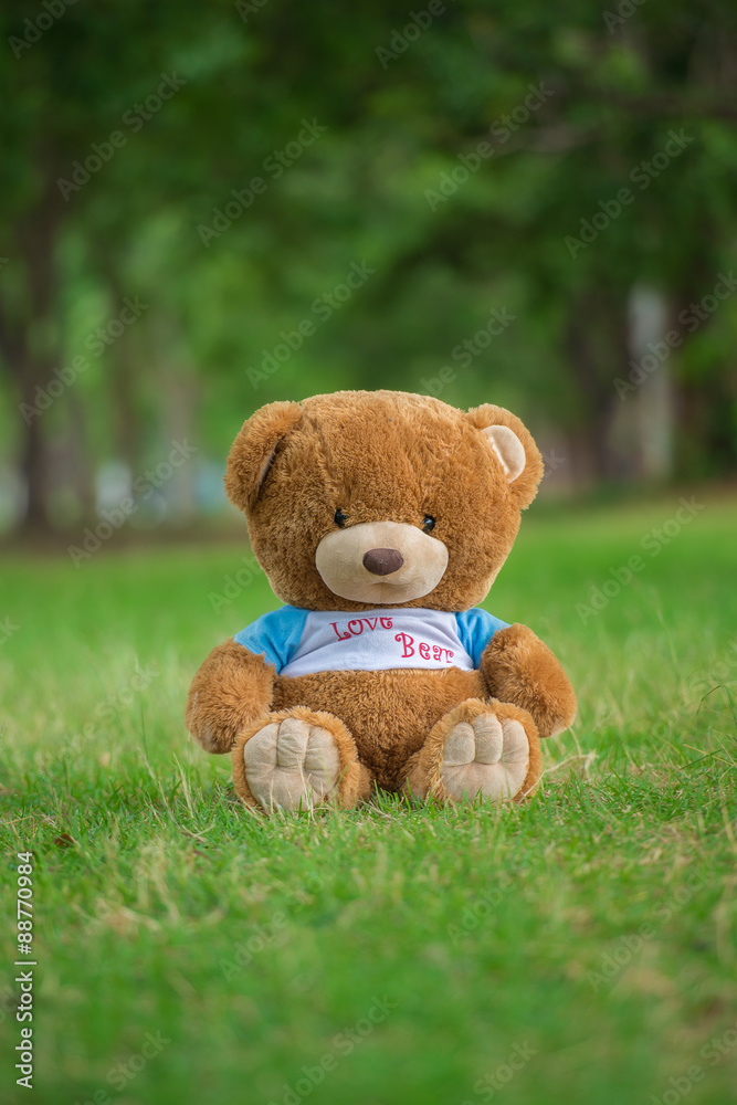 Teddy bears on a meadow in the woods Teddy bears on a meadow in the woods