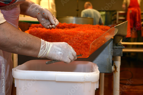 Obraz na plátně Preparing salmon caviar in the fishing processing plant