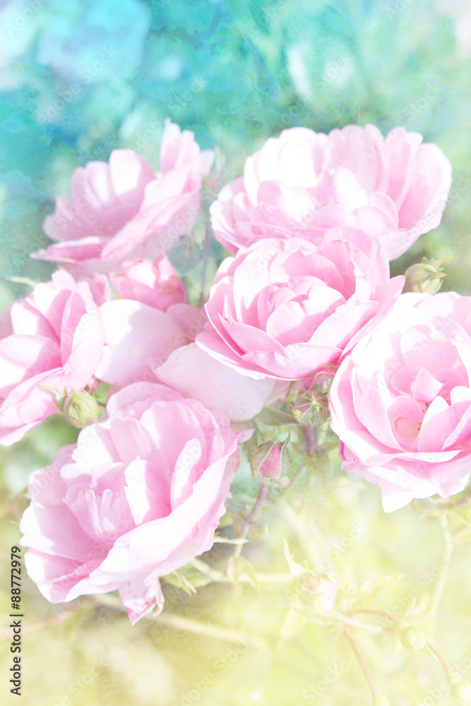 Abstract artistic background with beautiful pink roses