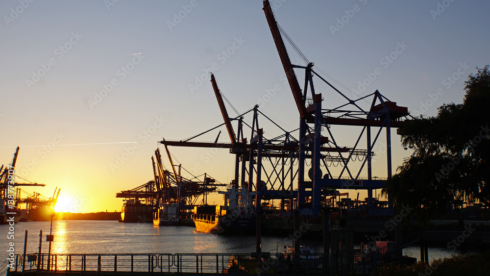 Fototapeta premium container terminal