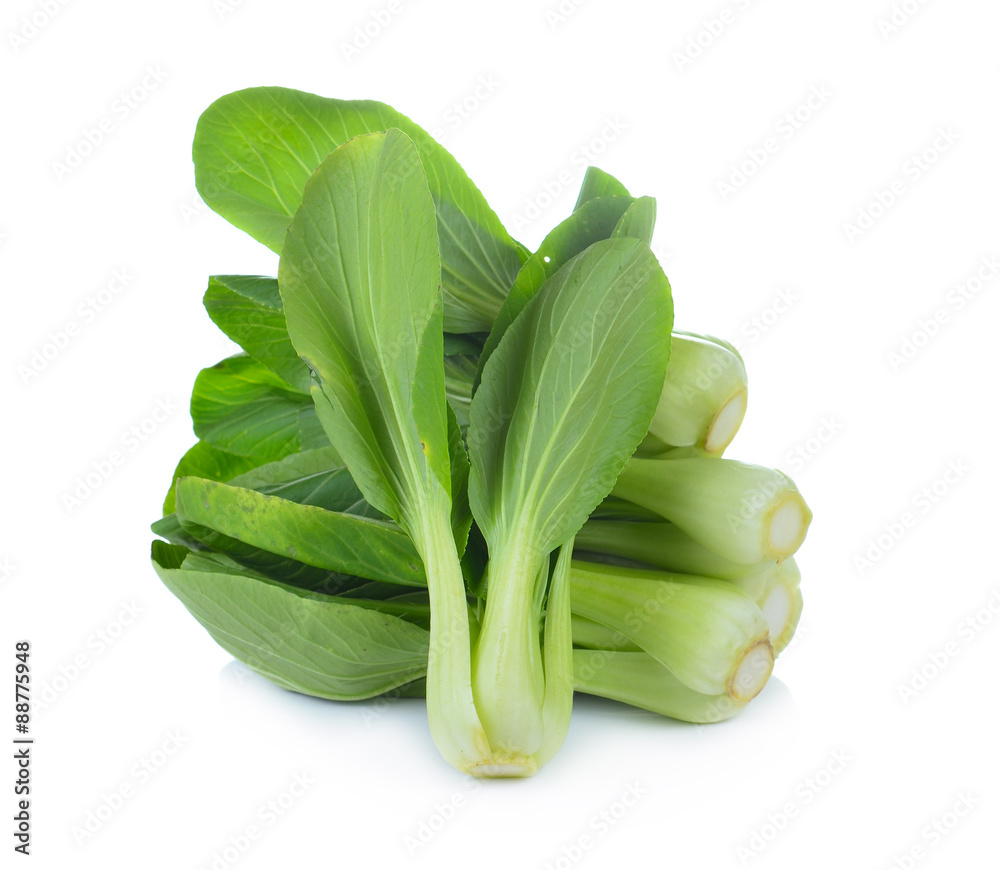 Bok choy vegetable on white background Bok choy vegetable on white background
