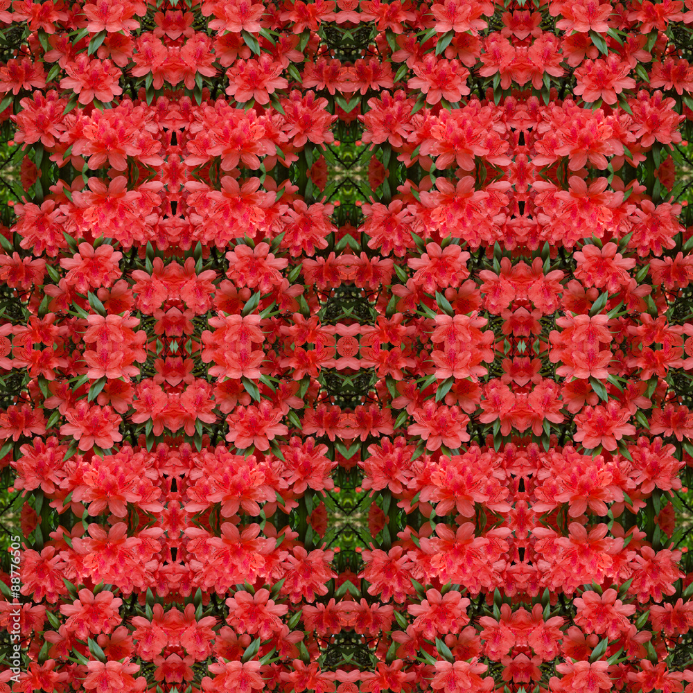 Azalea flower seamless pattern background Azalea flower seamless pattern background