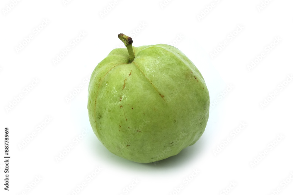 guava fruit isolated on white background guava fruit isolated on white background