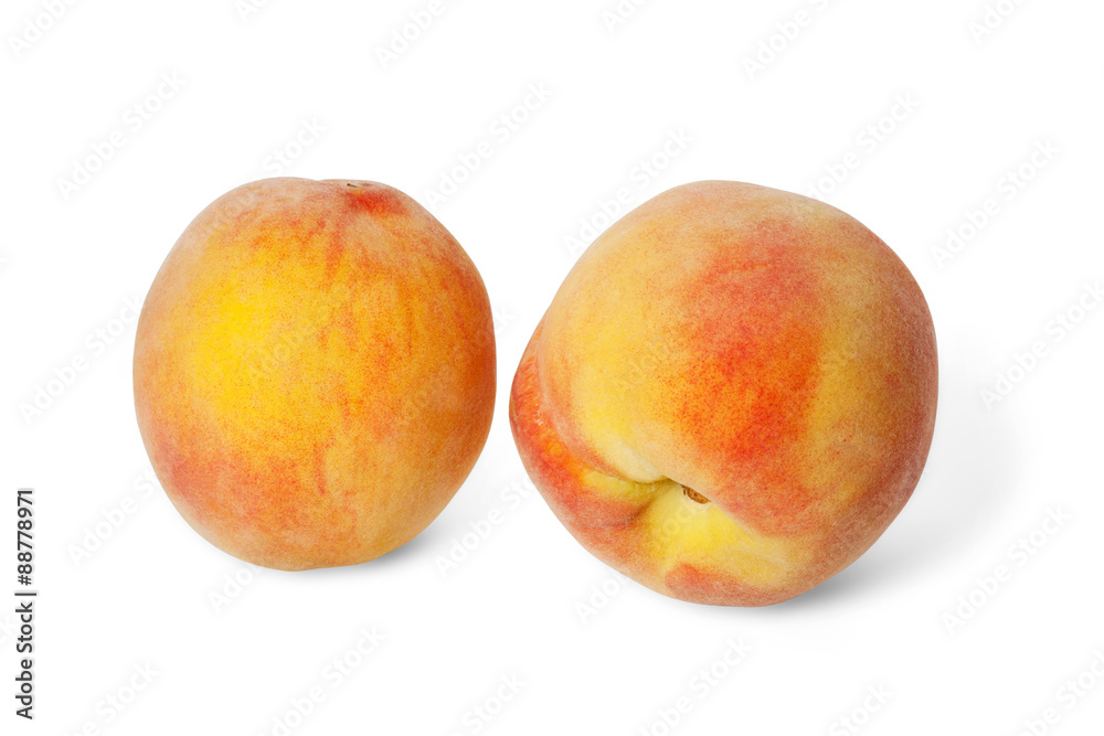 two ripe peaches on a white background two ripe peaches on a white background
