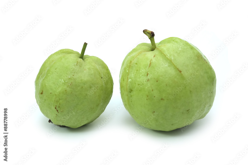 guava fruit isolated on white background guava fruit isolated on white background