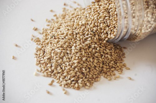 Sesame seed is one of super food which is a rich source of healthy oil. This type of oilseed is the oldest oilseed crop and known over 3000 years ago. photo