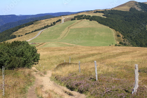 Les Hautes-Chaumes vosgiennes photo