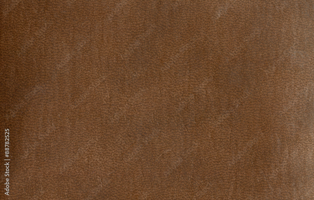 Fototapeta premium Texture leather material