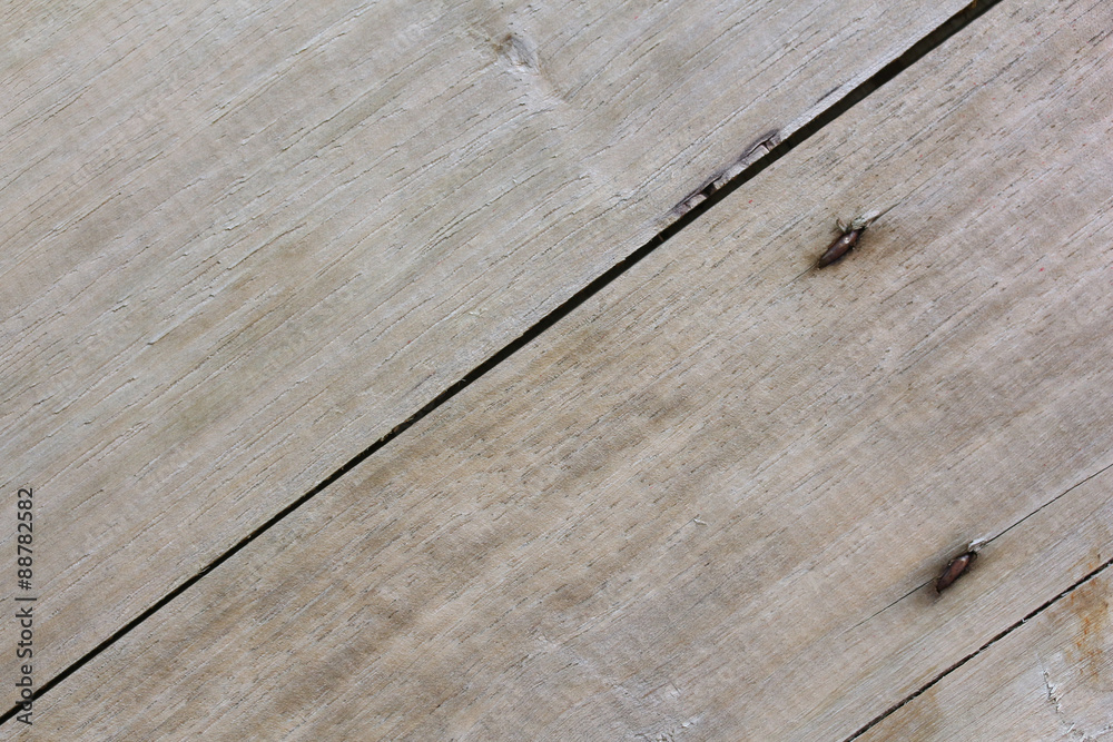 Obraz premium wood texture
