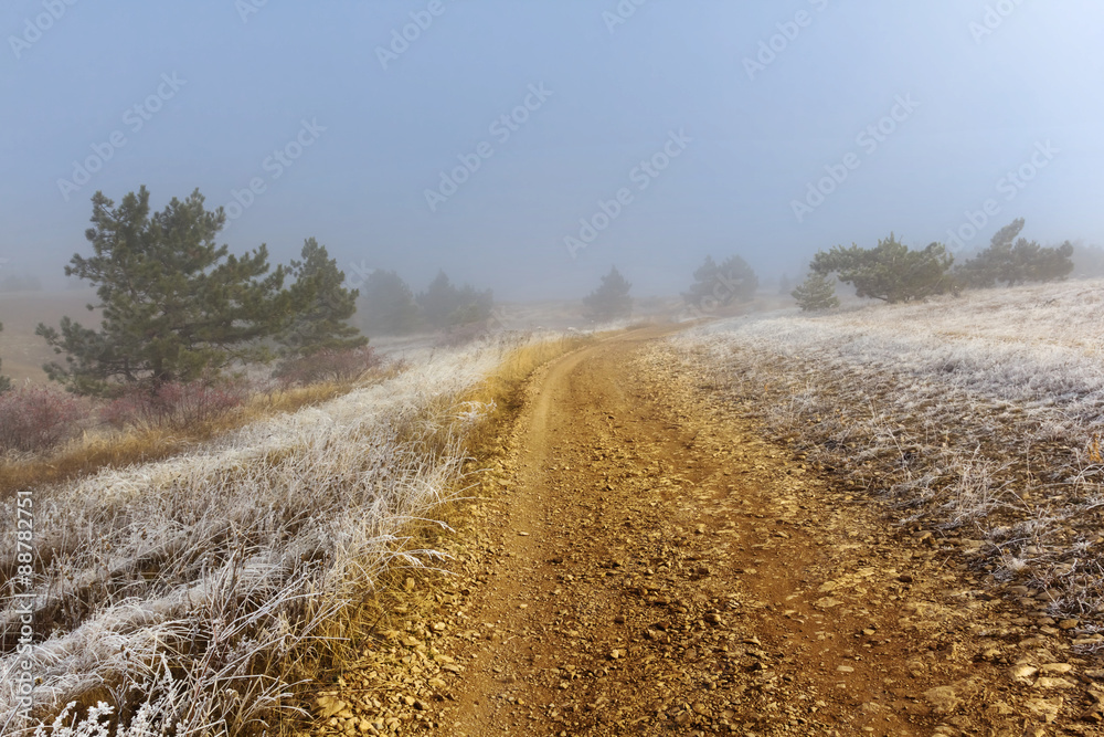 Naklejka premium ground road in a mist