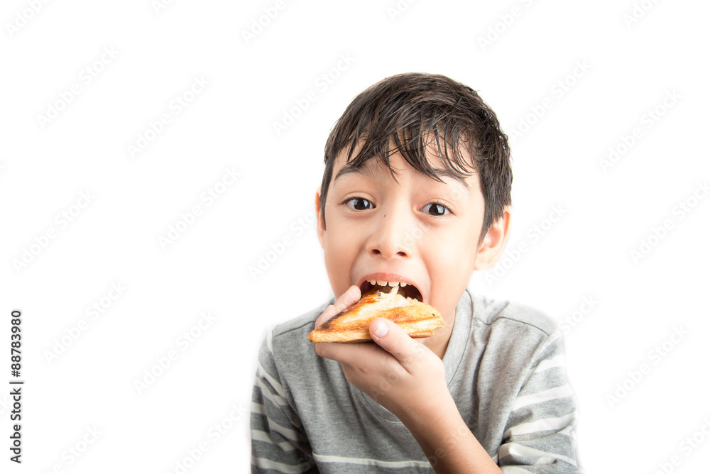 Little boy eating sandwich on white background Little boy eating sandwich on white background
