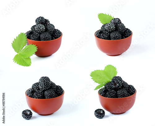 Set hybrid raspberries, black berries on a white background