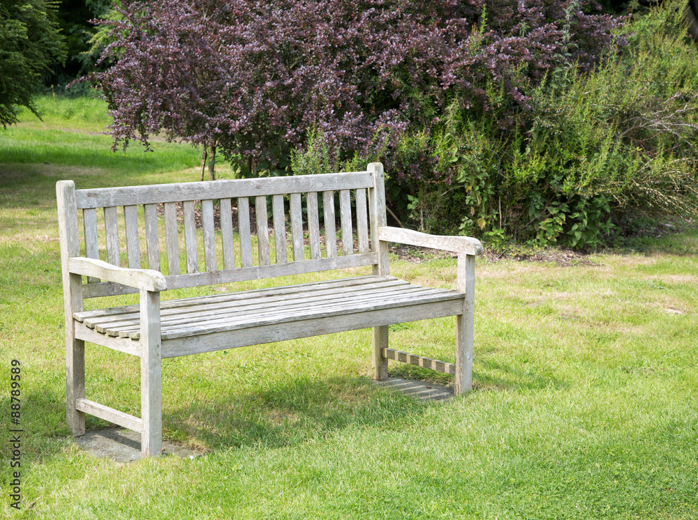 Wooden park bench in tranquil garden Wooden park bench in tranquil garden