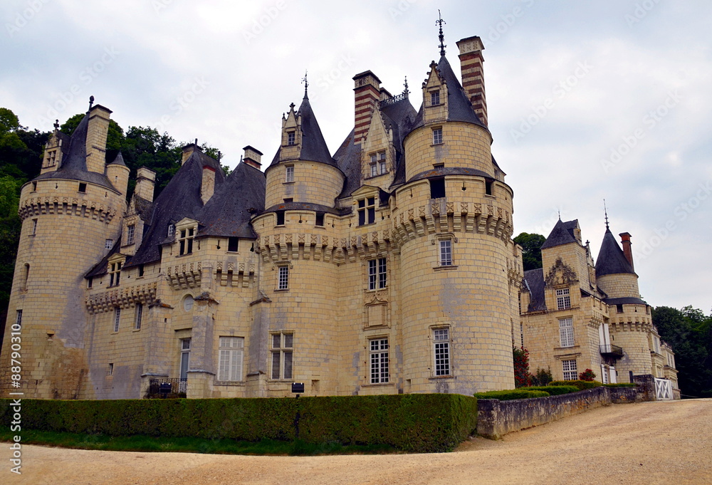 Fototapeta premium Usse castle in Loire Valley, France