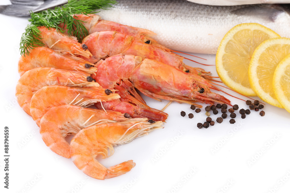 Seafood collection isolated on white Seafood collection isolated on white
