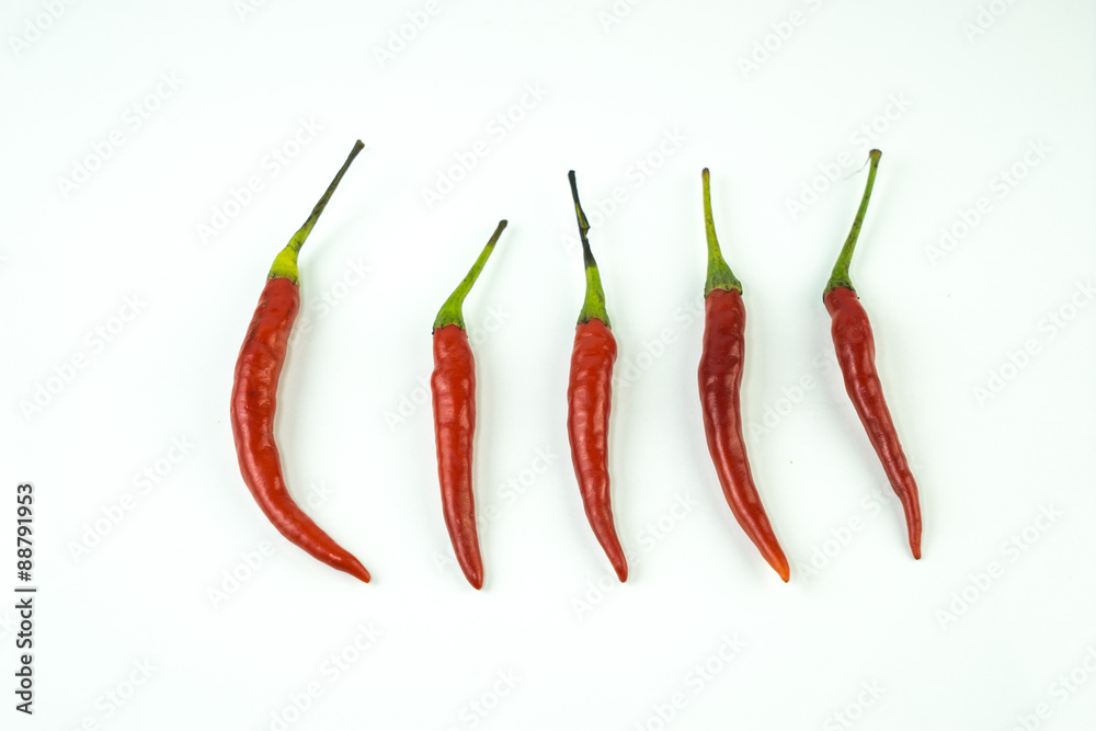 level of spicy , isolate on white background