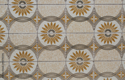 Detail of some typical portuguese tiles © nelson garrido silva