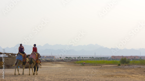 Two persons ridding camels in the desert