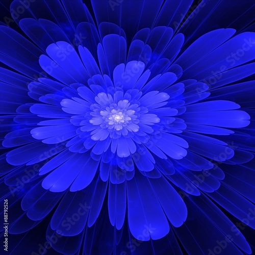 Blue fractal Bloom with white in the middle © sedmicka7a