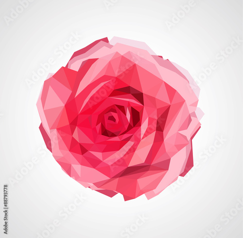 polygonal rose that bloomed