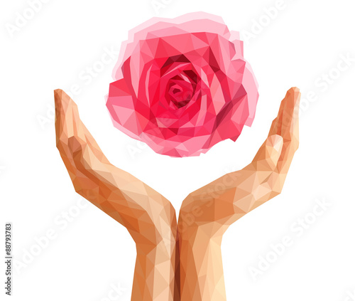 polygonal rose that blossomed on the cupped palms