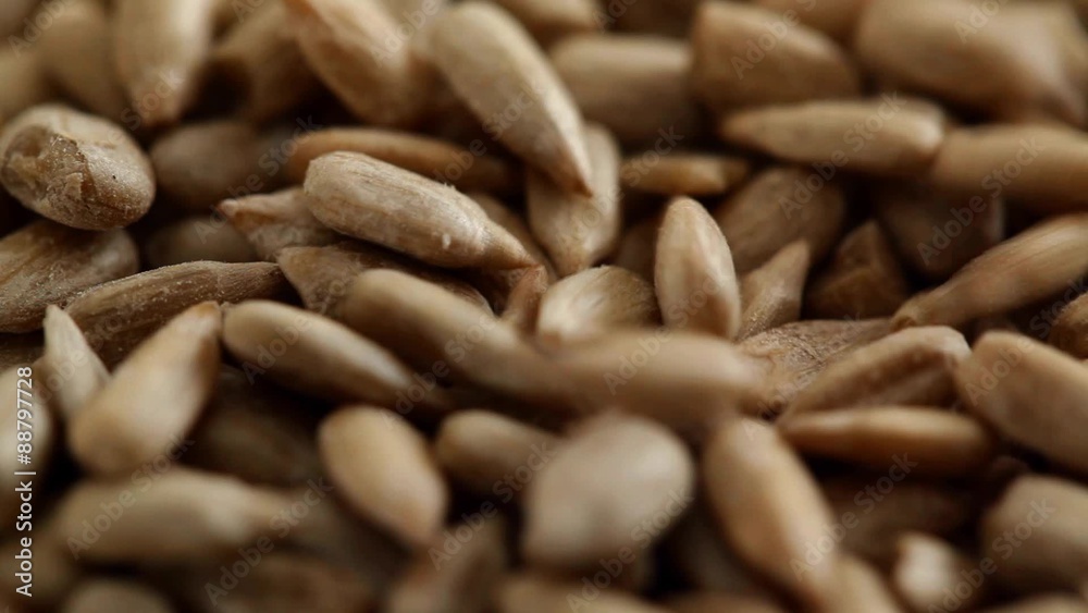 Sunflower seed, falling down, forming small heap; extreme close up; no people Sunflower seed, falling down, forming small heap; extreme close up; no people