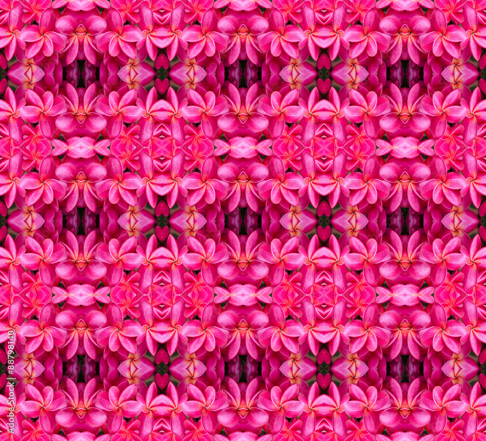 Pink frangipani flower seamless pattern background