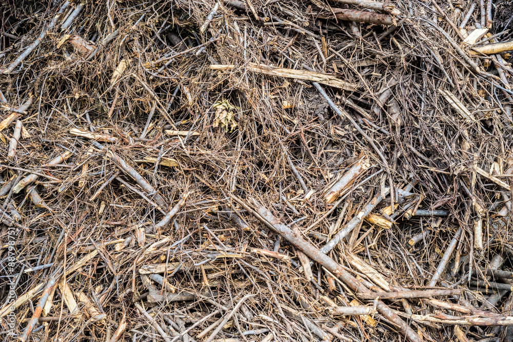 Wood scrap Wood scrap
