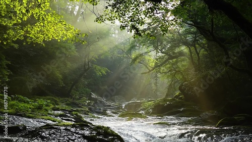 熊本の菊池渓谷　光芒動画