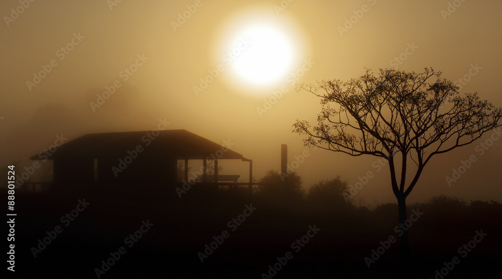 Foggy morning sunrise rural landscape
