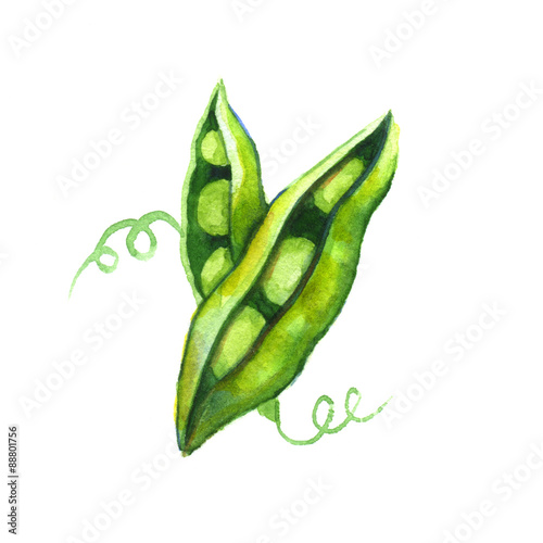 Pea pods