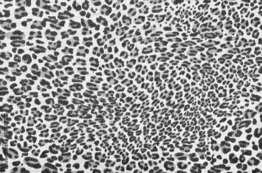 Grey leopard fur pattern. Black and white spotted animal print as