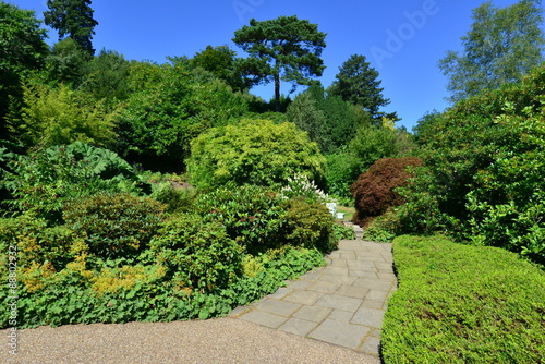 An English country estate and woodland on a hot day in August. © paulbriden