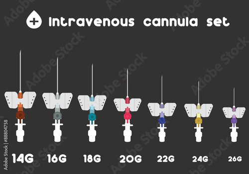 ntravenous cannula set. Different sizes of intravenous cannula.