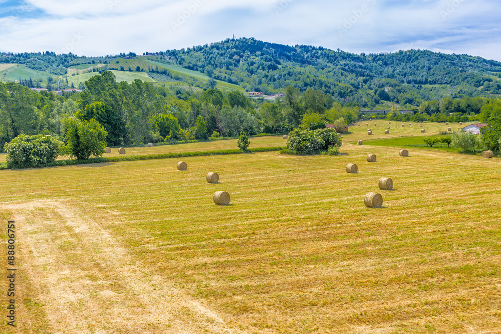 bales of hay on the mown fields