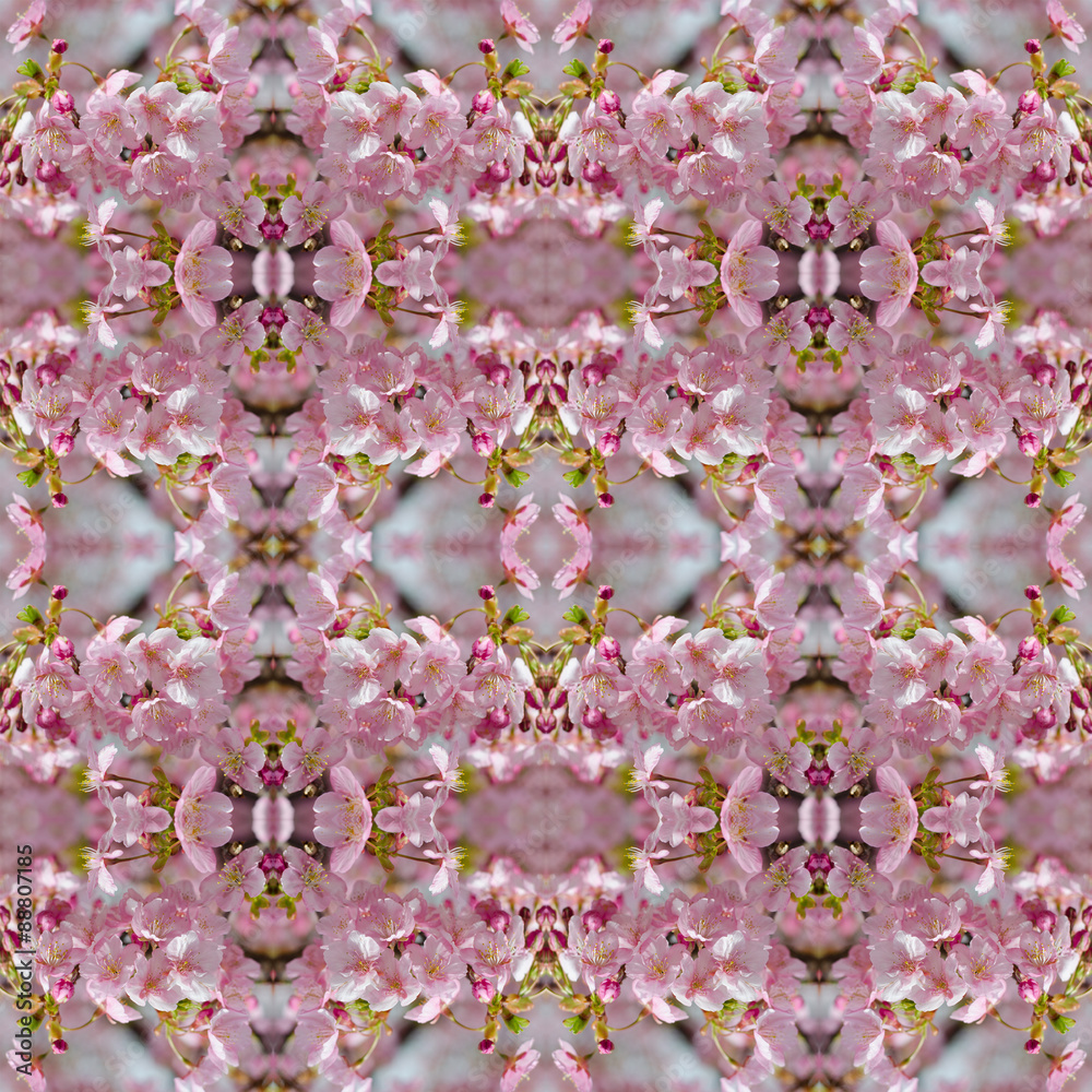 Beautiful pink cherry blossom (Sakura)  seamless pattern backgro