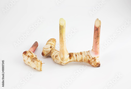 galangal isolated on white background 