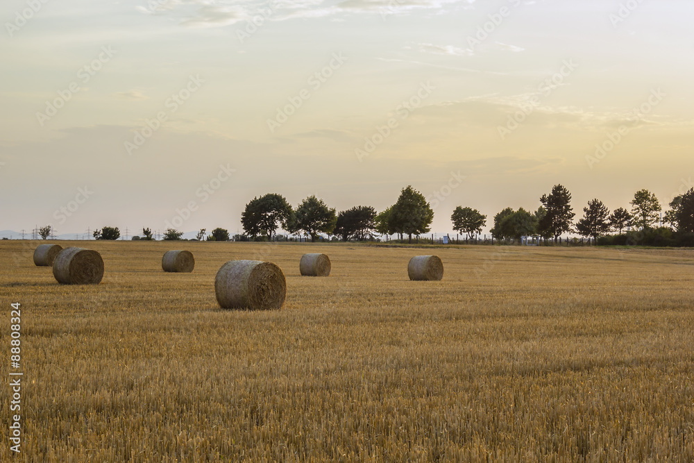 straw bales in the sunset