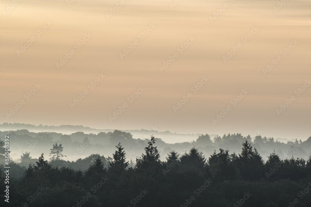 Fototapeta premium Forest landscape with layers of mist at sunrise in countryside