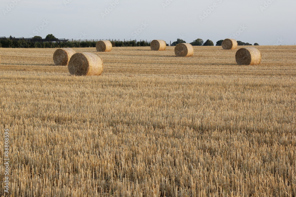 straw bales in the sunset