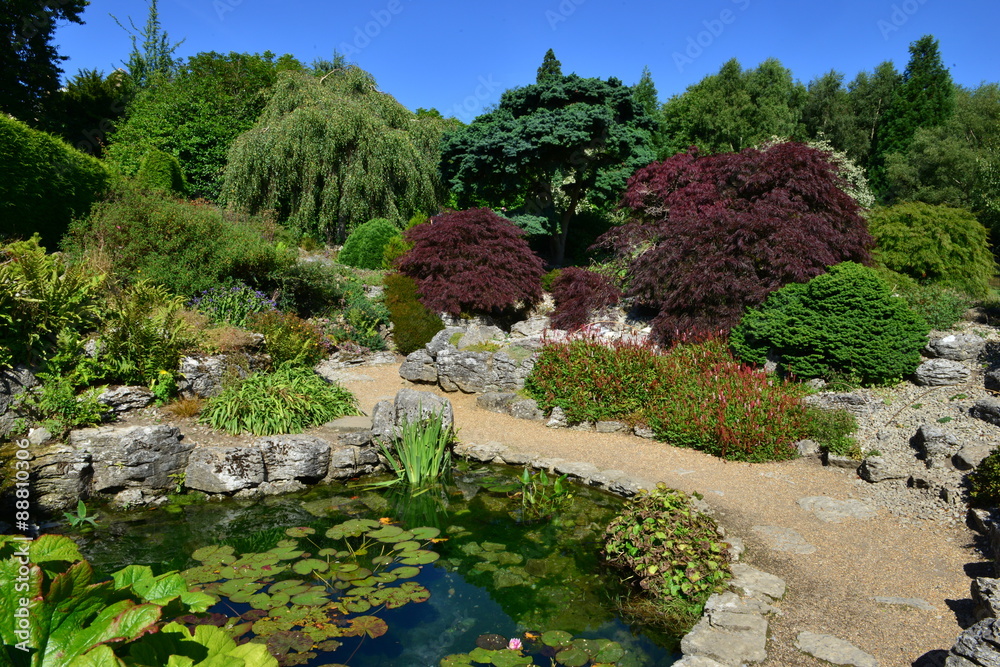 A Rock garden in Kent in August