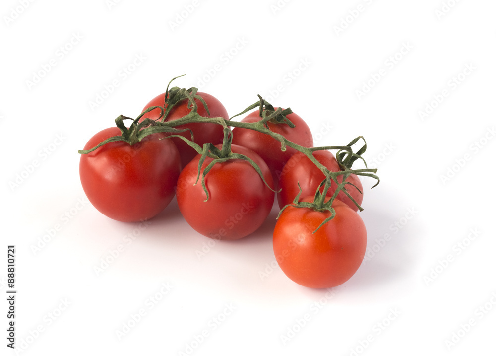 A brush of tomatoes isolated on white A brush of tomatoes isolated on white