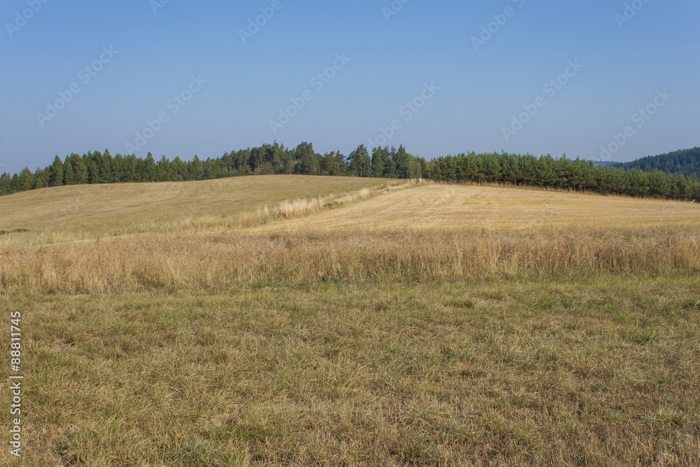 Dry landscape, hot summer without rain in the Czech Republic. Dry grass on a hot summer day.