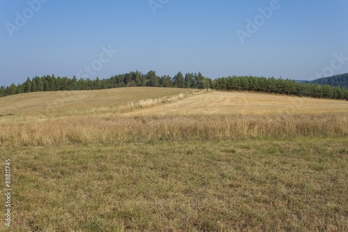 Dry landscape  hot summer without rain in the Czech Republic. Dry grass on a hot summer day.