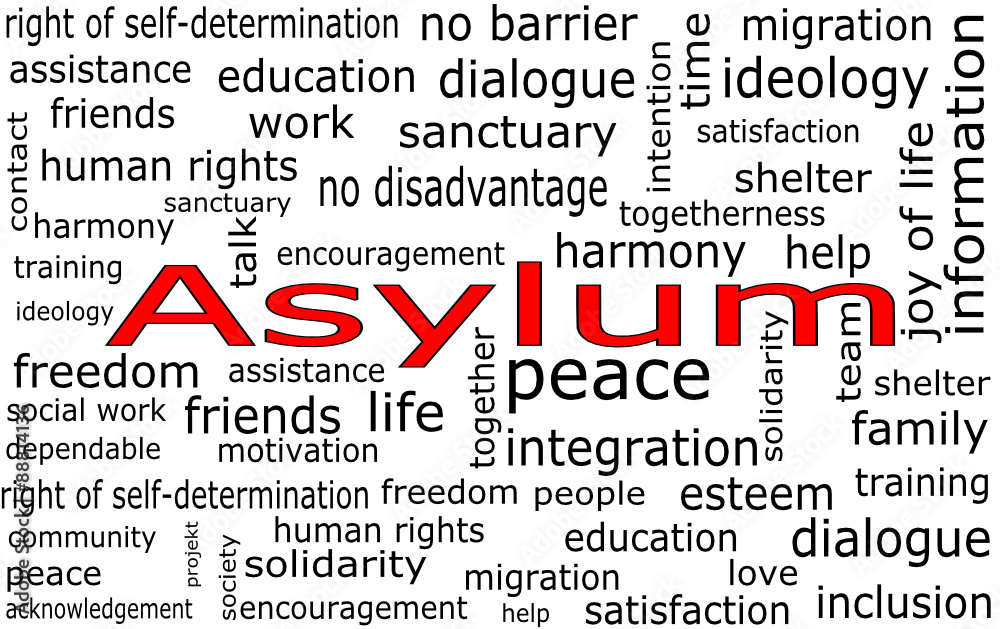 Asylum Wordcloud