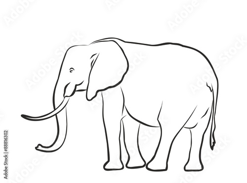 Sketch of a big elephant.