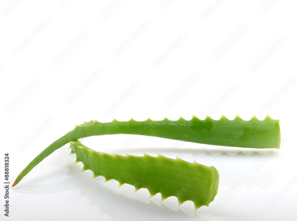 Naklejka premium aloe vera