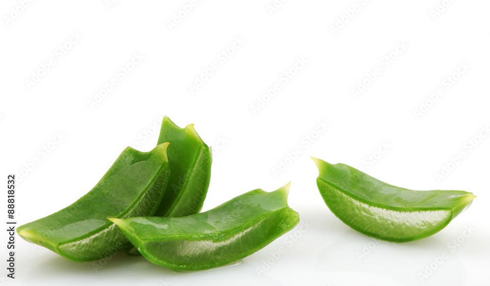 aloe vera aloe vera